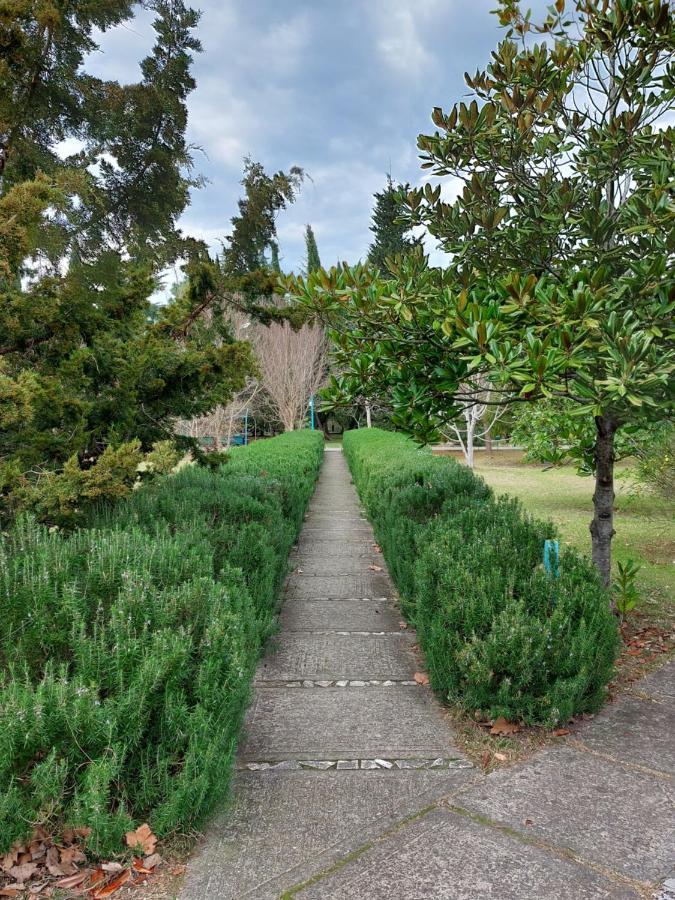 Домики У Лизы Под Ключ Pițunda Exterior foto