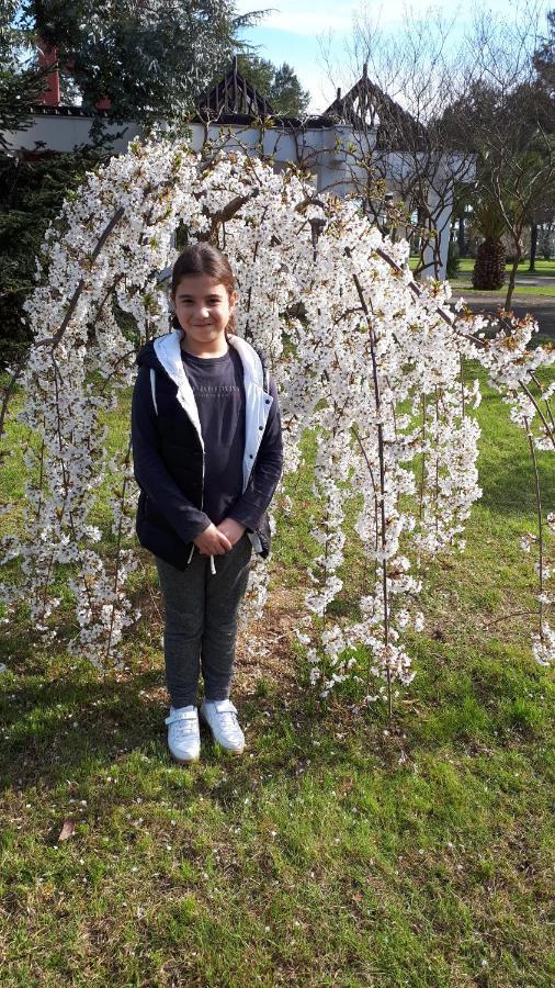 Домики У Лизы Под Ключ Pițunda Exterior foto